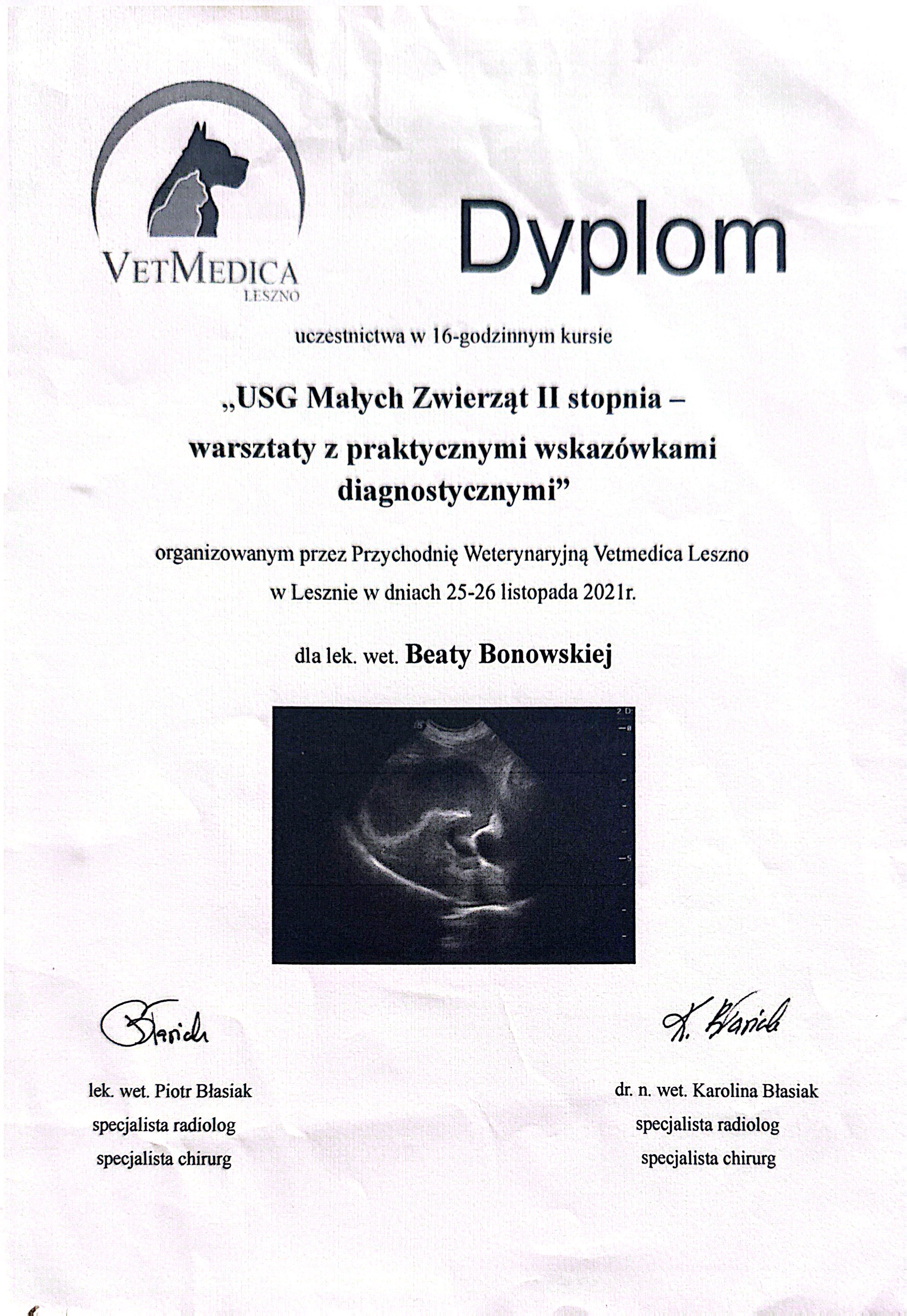 Dyplom Vetmedica - USG Malych Zwierzat II stopnia, Leszno 2021